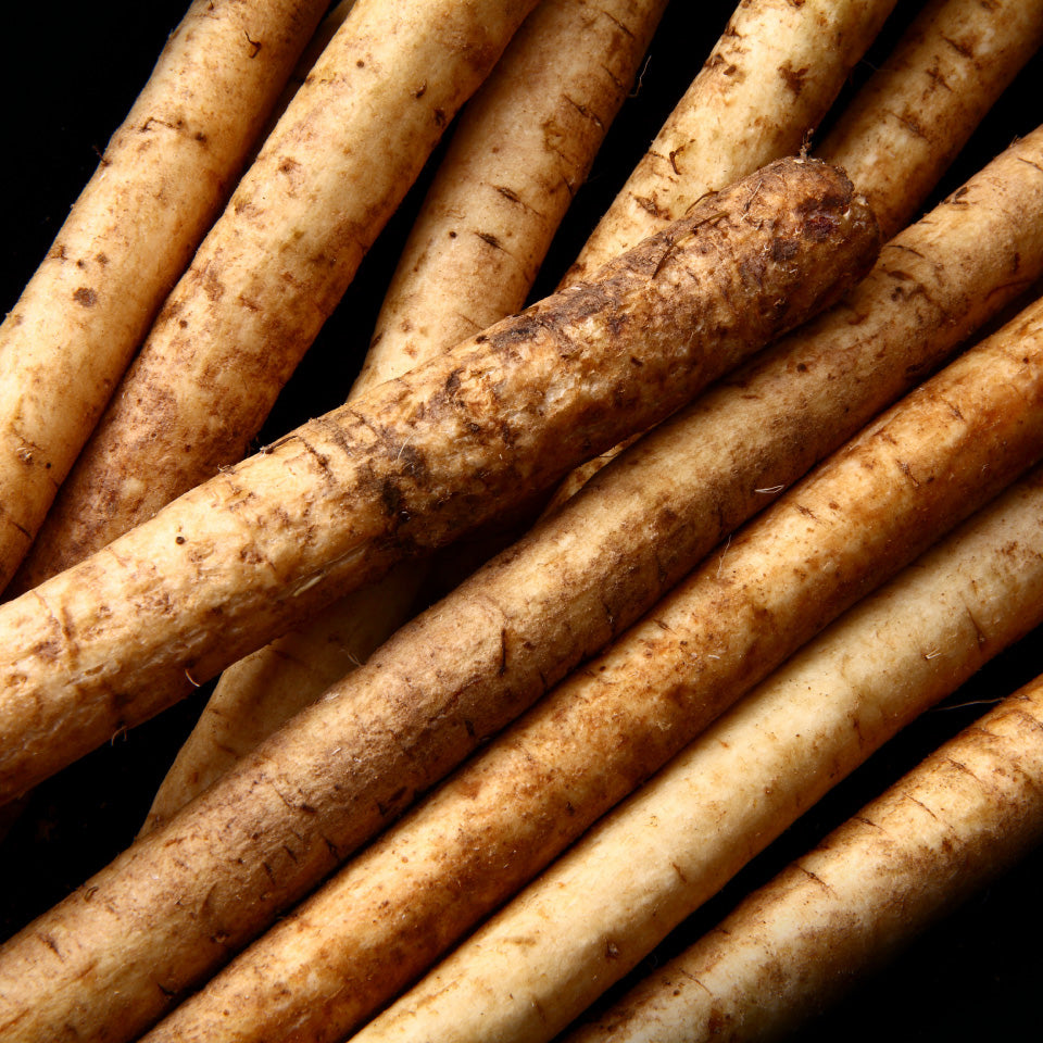 【MENTIE監修】1%の奇跡の明太もつ鍋(2~3人前)|送料無料