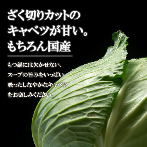【野菜付】秘伝国産牛もつ鍋-醤油味- 特製〆ちゃんぽん麺/カット野菜付セット
