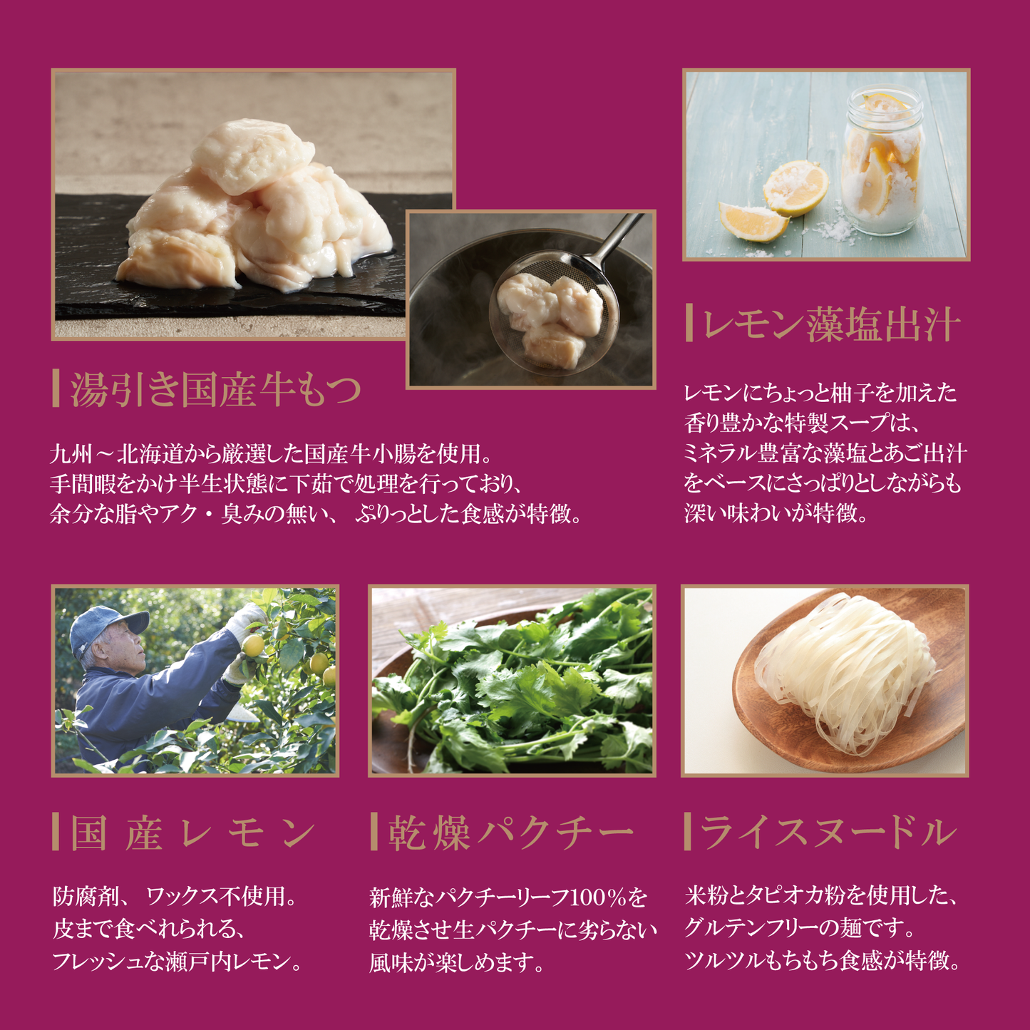 【夏季限定9/26まで】\\\ 瀬戸内レモン香る /// フォーで〆る檸檬牛もつ鍋