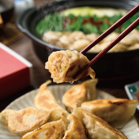 【毎月数量限定】蓮月「特製手作り焼き餃子」TAKUNABE「国産牛もつ鍋-秘伝醤油味-」コラボセット(2~3人前)|送料無料