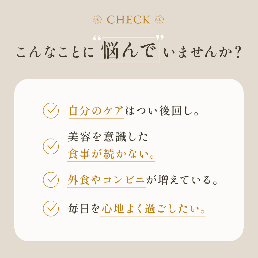 【初回限定】うるおい巡る参鶏湯キット
