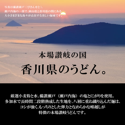 【7/15発売】THE･UDON 讃岐熟成半生うどん 並麺 (中太麺) 3~6食入｜全国送料無料