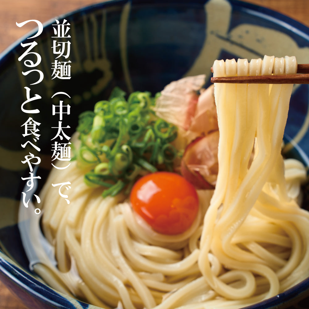 THE･UDON 讃岐熟成半生うどん 並麺 (中太麺) 3～6食入｜全国送料無料